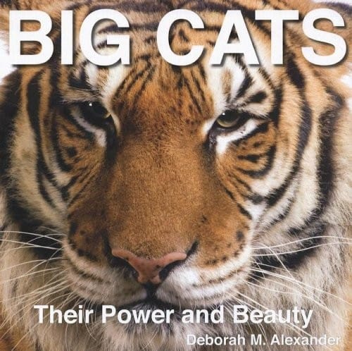 Big Cats: Their Power and Beauty