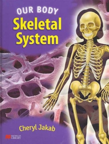 The Skeletal System (Our Body - Macmillan Library)
