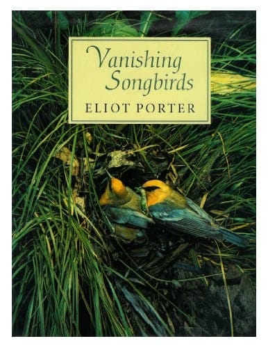 Vanishing songbirds