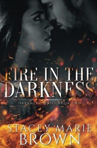 Fire in the Darkness (Darkness Series)