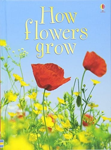 How Flowers Grow