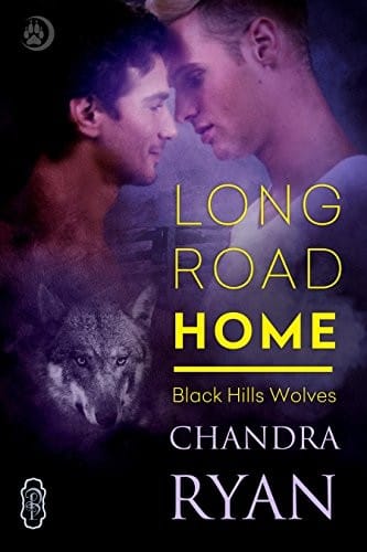 Long Road Home (Black Hills Wolves #30)