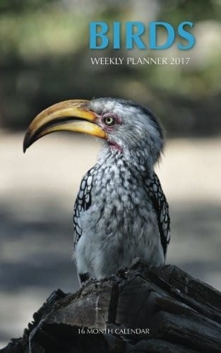 Birds Weekly Planner 2017: 16 Month Calendar