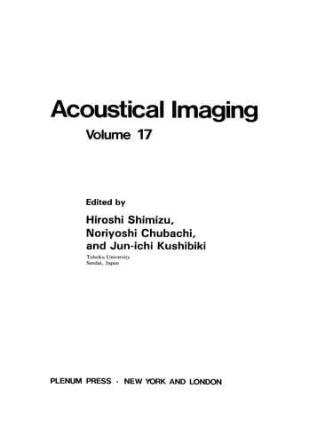 Acoustical Imaging