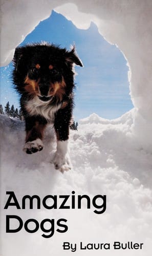Amazing dogs