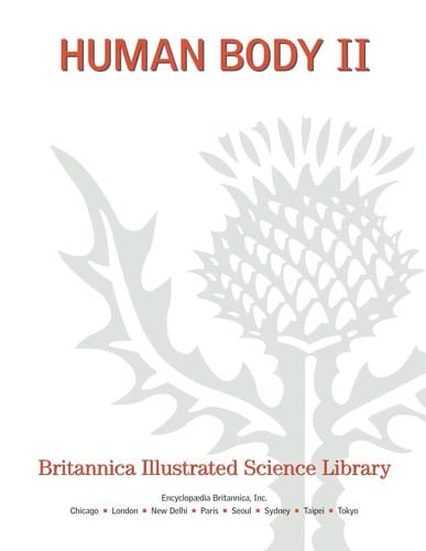 Human body II