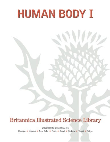 Human body I