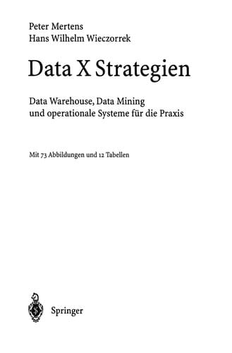 Data X Strategien
