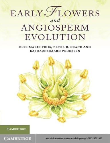 Early flowers and angiosperm evolution