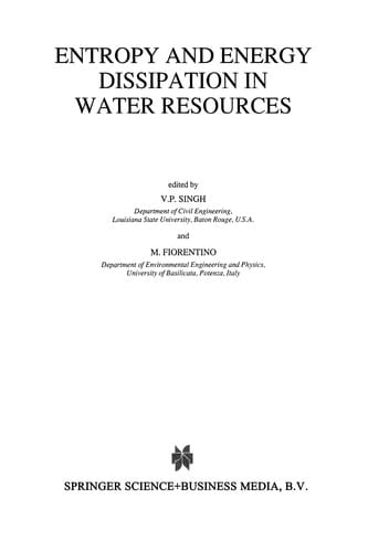 Entropy and Energy Dissipation in Water Resources