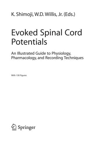 Evoked spinal cord potentials