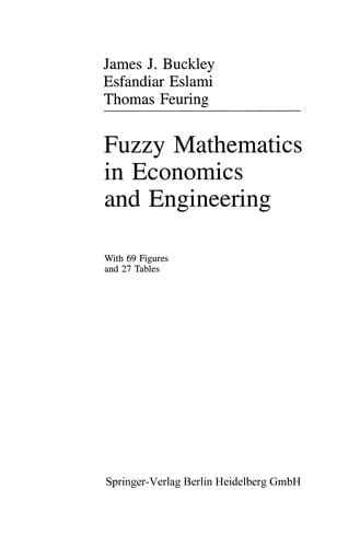 Fuzzy mathematics in economics and engineering