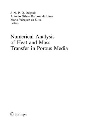 Numerical Analysis of Heat and Mass Transfer in Porous Media