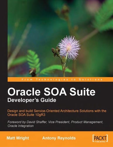 Oracle SOA Suite developer's guide