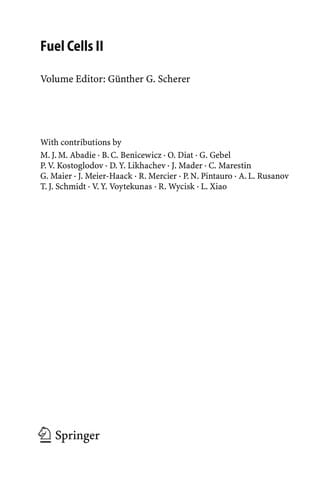 Fuel Cells II