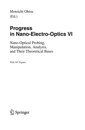 Progress in Nano-Electro-Optics VI