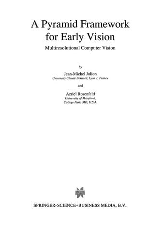 A Pyramid Framework for Early Vision