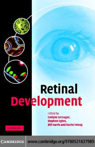 Retinal development