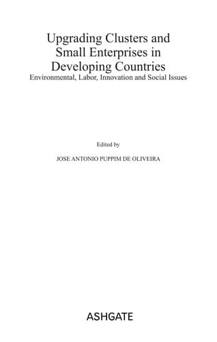Upgrading clusters and small enterprises in developing countries