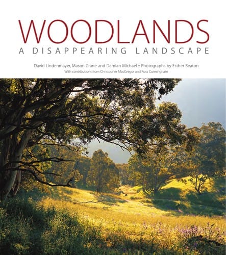 Woodlands, a disappearing landscape