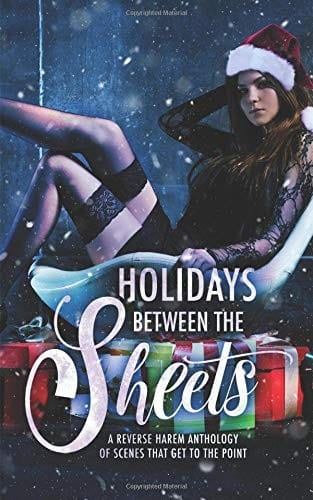 Holidays Between the Sheets: A Reverse Harem Anthology of Festive Scenes that Get to the Point