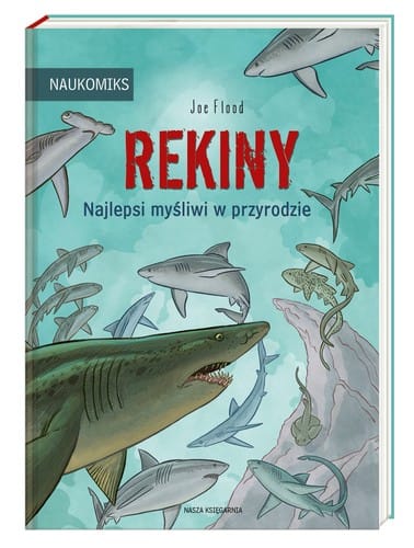 Rekiny – najlepsi myśliwi w przyrodzie