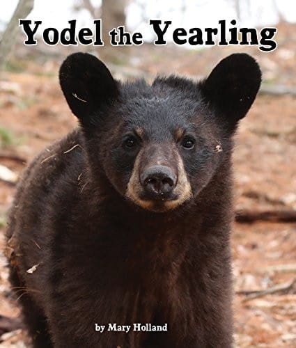 Yodel the Yearling