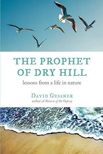 The Prophet of Dry Hill