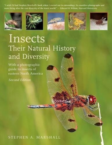 Insects : Their Natural History and Diversity