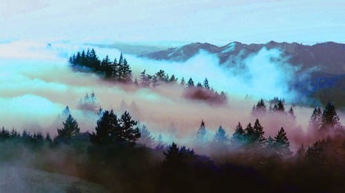 Enciclopedia zmeilor