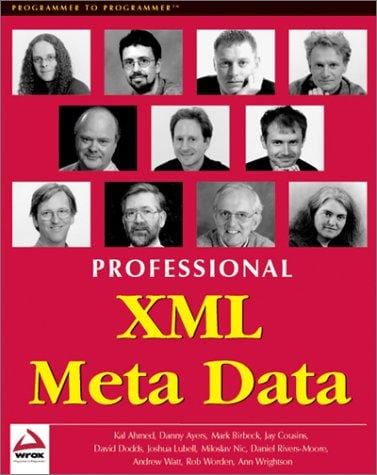 Professional XML meta data