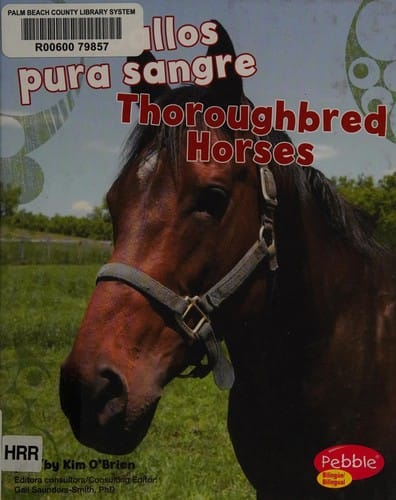 Caballos pura sangre =
