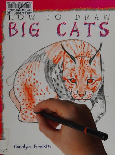 How to Draw Big Cats