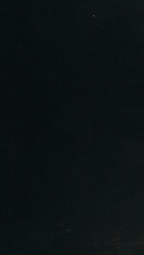 The logical syntax of language