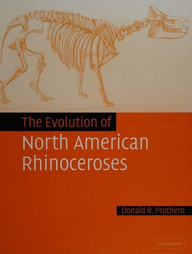 EVOLUTION OF NORTH AMERICAN RHINOCEROSES