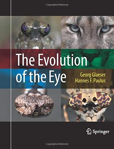 The evolution of the eye