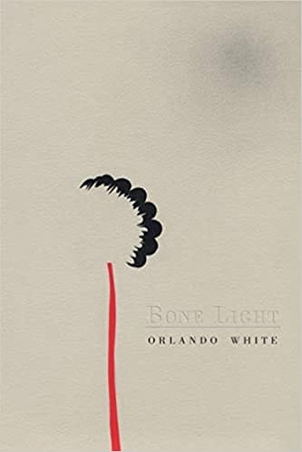 Bone light
