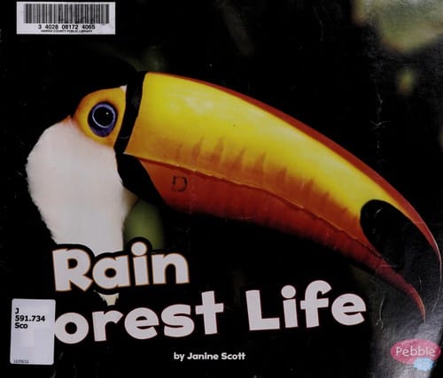 Rain forest life
