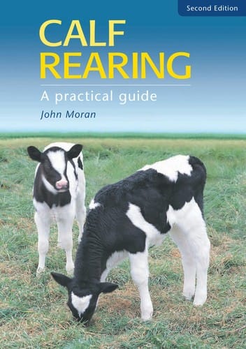 Calf rearing