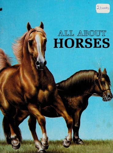 All about horses