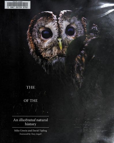 The enigma of the owl