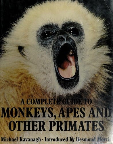 A complete guide to monkeys, apes and other primates
