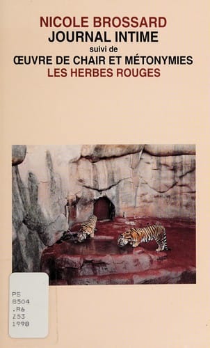 Journal intime, ou, Voilà donc un manuscrit