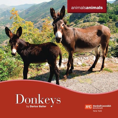 Donkeys