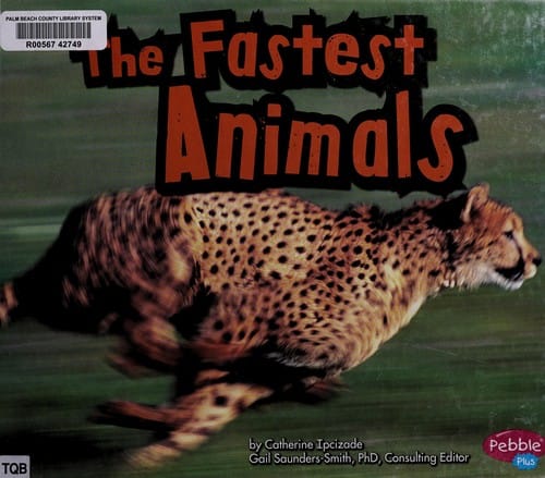 The fastest animals