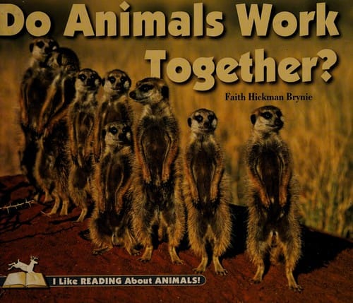 Do animals work together?