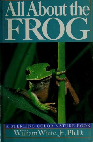 All about the frog