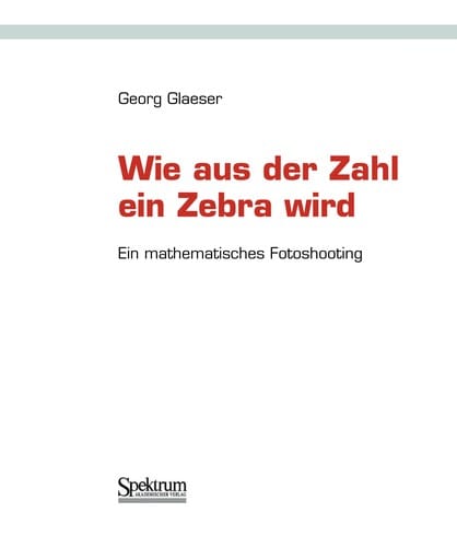 Wie aus der Zahl ein Zebra wird
