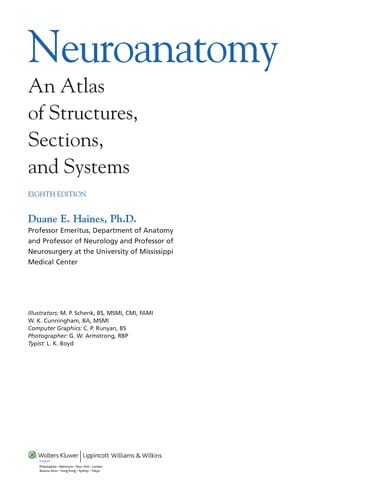 Neuroanatomy