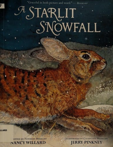 A starlit snowfall